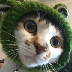 Average sims 4 player