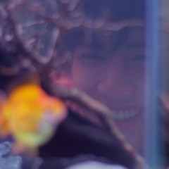 ᴄᴏᴏᴋɪᴇꜱ ᴀɴᴅ ᴄʀᴇᴀᴍ