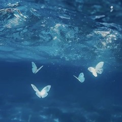 ⋆.˚🦋༘