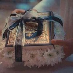 Nany Mousa