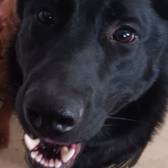 abcdefghijklmnopqrstuvwixyz