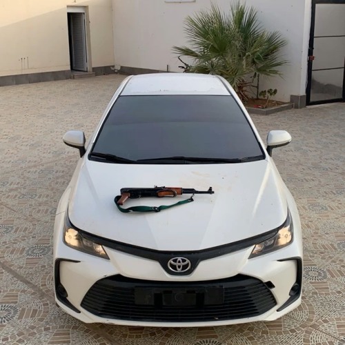 Skyler & SIGMXH - VALHALLA