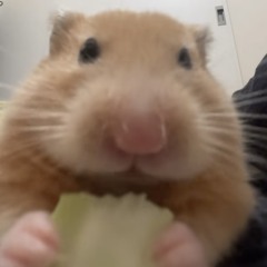 Eradium