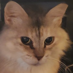 EricaSky