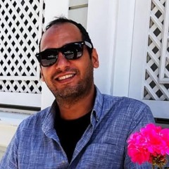 Ali Hamidi