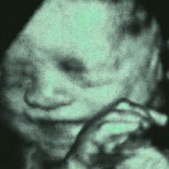 nowisborn