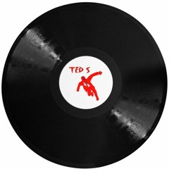 dj_ted_striker