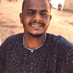 Mohammed Salah Hussien