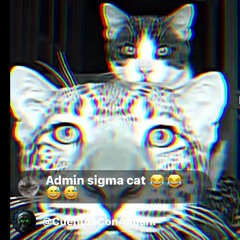 TrippleDipp💯