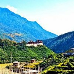 Sonam Tshering