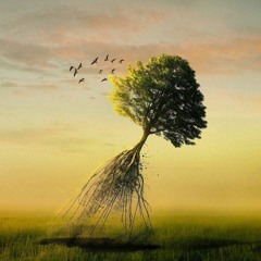 farhad.cell