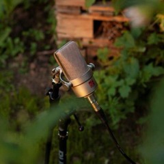 The Garden Solstice