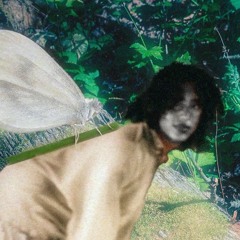 See Luci