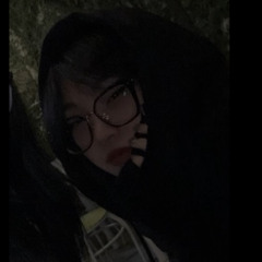 _voicon.