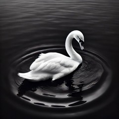 Swane Project