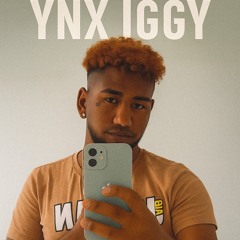 YNX IGGY 🌍