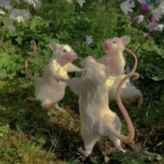 babagril