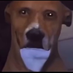 Elgato