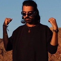shayan parviizy