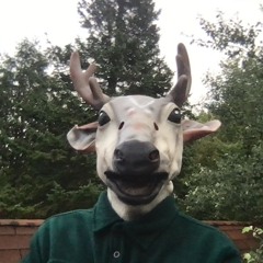 Superkaleidogram 800