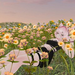 LuLu