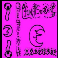 Fungisorcery