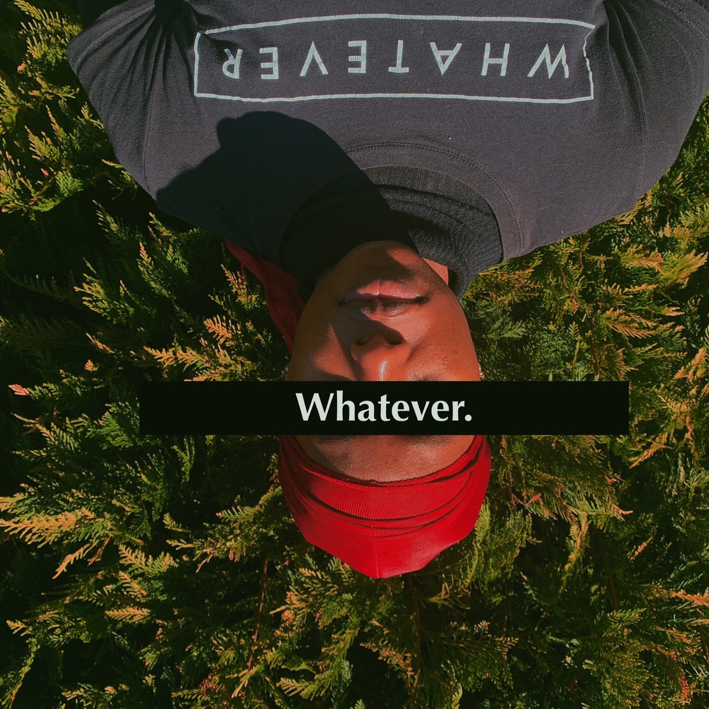 Whatever.