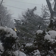 itscoldinthesnow