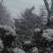 itscoldinthesnow