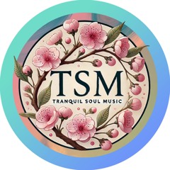 Tranquil Soul Music