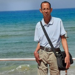 אלישב בראונשטיין