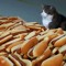 Weenie Cop Update Guy