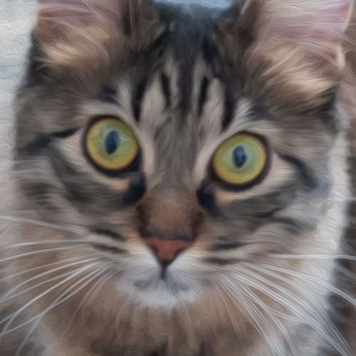 Olívia