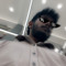 Savidya Fernando