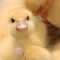 User 940121160