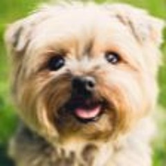 🎀🌸MILLIE🌸🎀