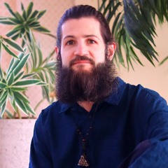 Paulius D (Waking Vibrations)