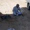 الخواجة ابو ميشو