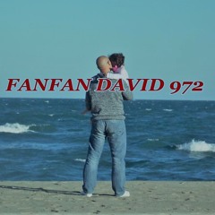 FANFAN DAVID 972
