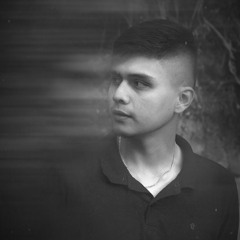 Paneø