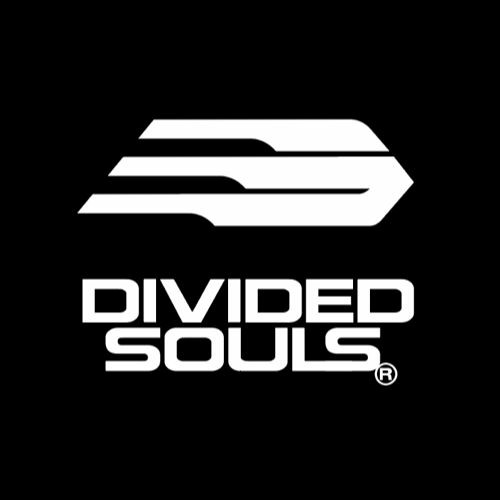 Divided Souls Records’s avatar