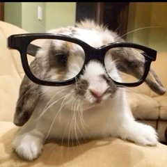 ev﹒⪩⪨﹒