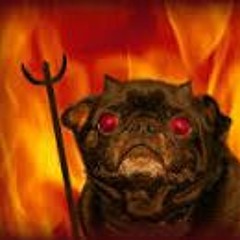 Fire Pug