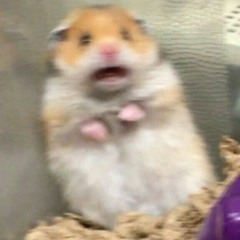 mousyrosy