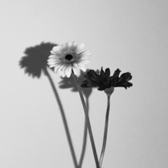 _____04.n