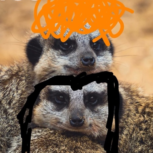 intro same girl old goals same orange fro  9_10_25, 12.52 PM