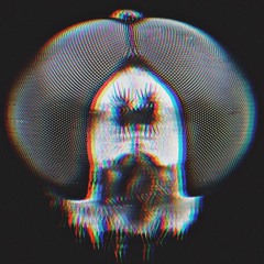 Salibatr Brastislavovich