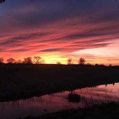 pro-in -motions pt 2