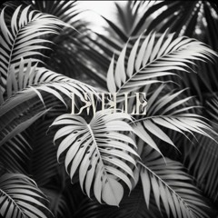 Dwelle