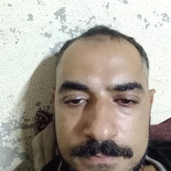 مدحت ابراهيم